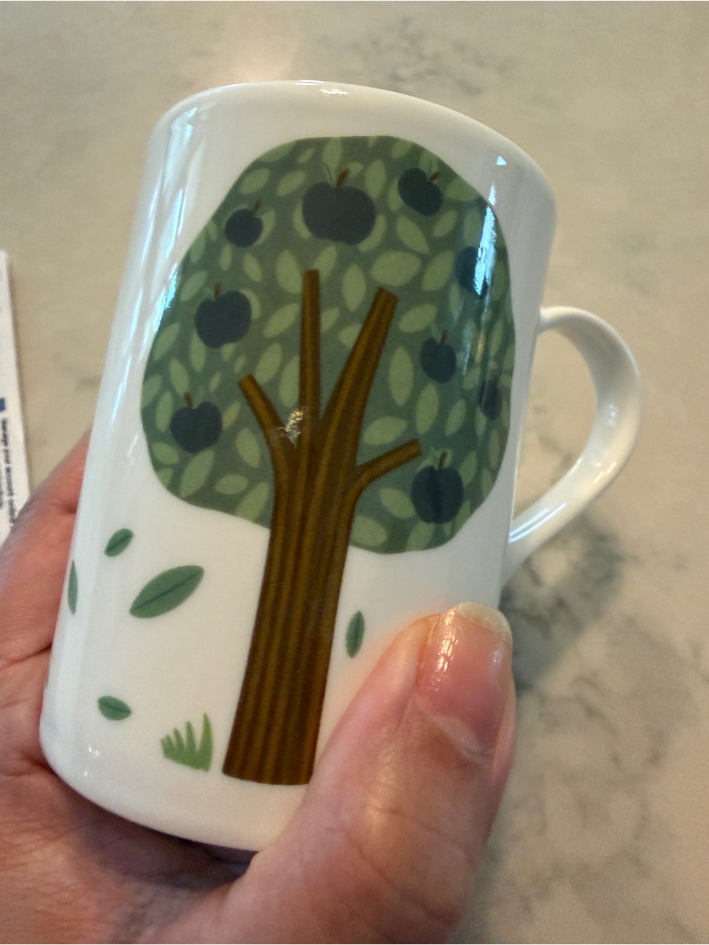 lauren radley national trust Woolsthorpe Manor mug RARE